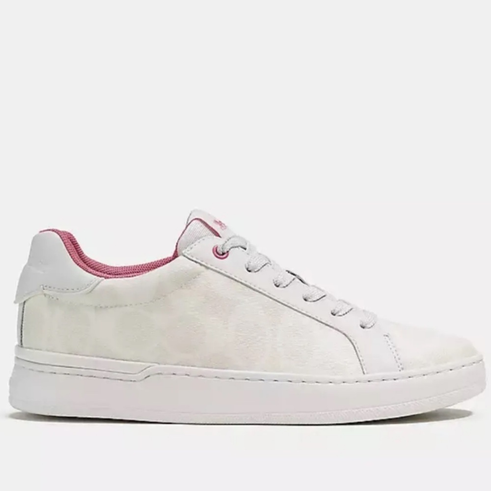 Brand New COACH Clip Low Top Sneaker In Signature Canvas